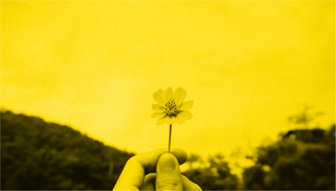 Yellow-background-flower
